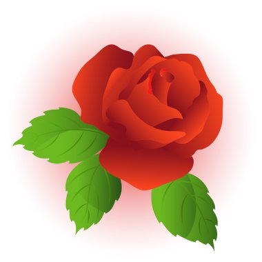 Rose clipart