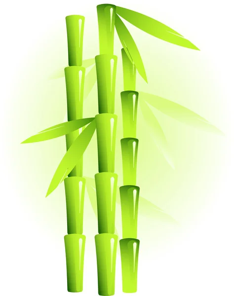 Bambu —  Vetores de Stock