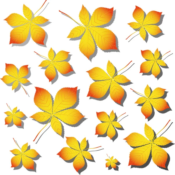 Folhas de outono castanha —  Vetores de Stock