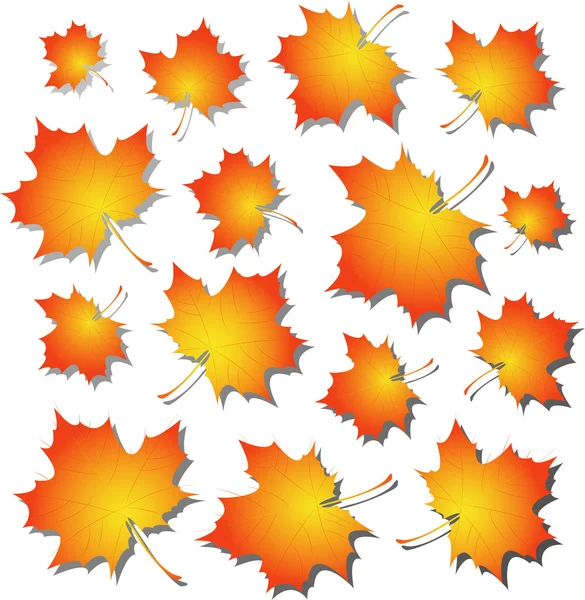 Jesienią liście klonu — Wektor stockowy