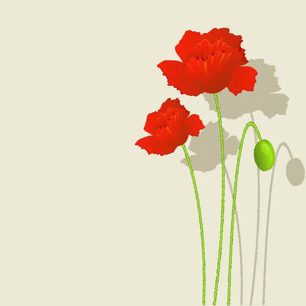 Background with red Poppies — Stock Vector