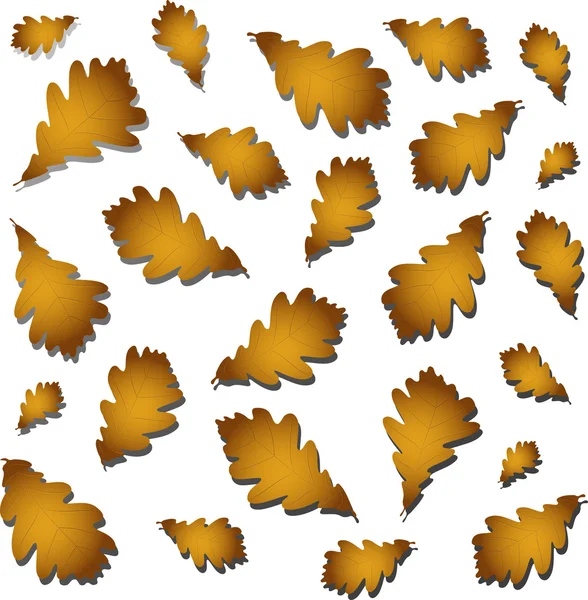 Tölgy, őszi levelek — Stock Vector