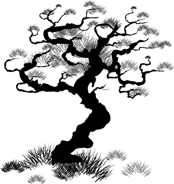Dennenboom — Stockvector