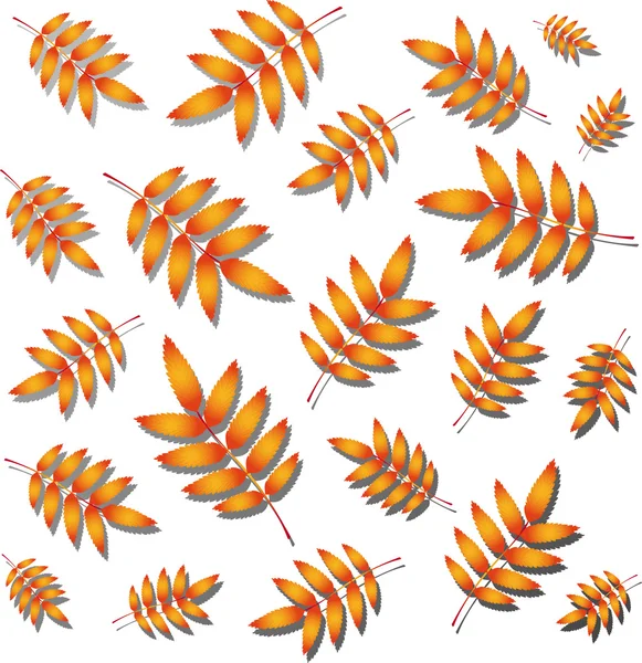 Vogelbeere Herbstblätter — Stockvektor