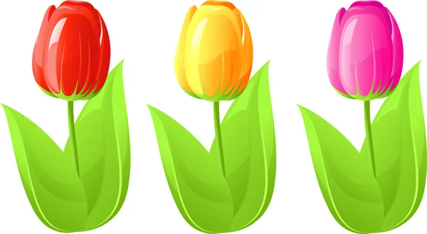 Tre tulipani — Vettoriale Stock