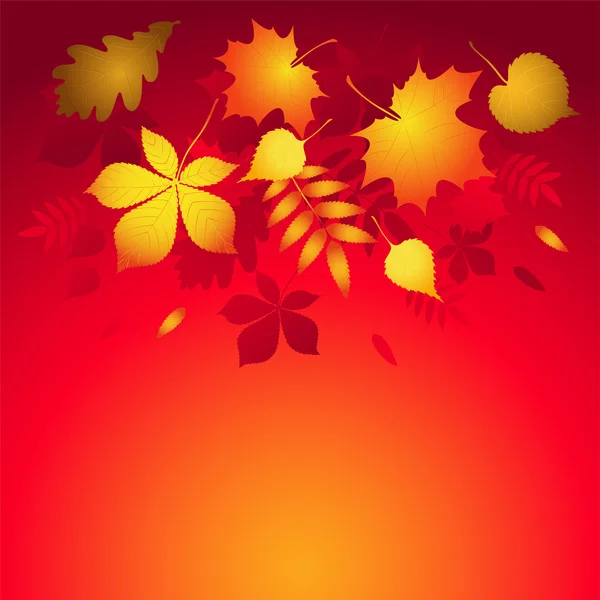 Fond vectoriel avec feuilles d'automne . — Image vectorielle