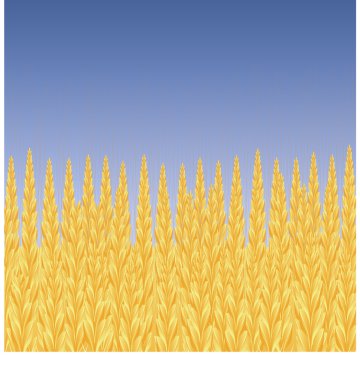 Wheat clipart