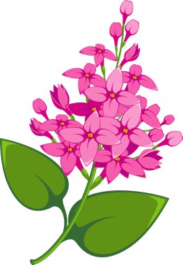 Lilac branch clipart