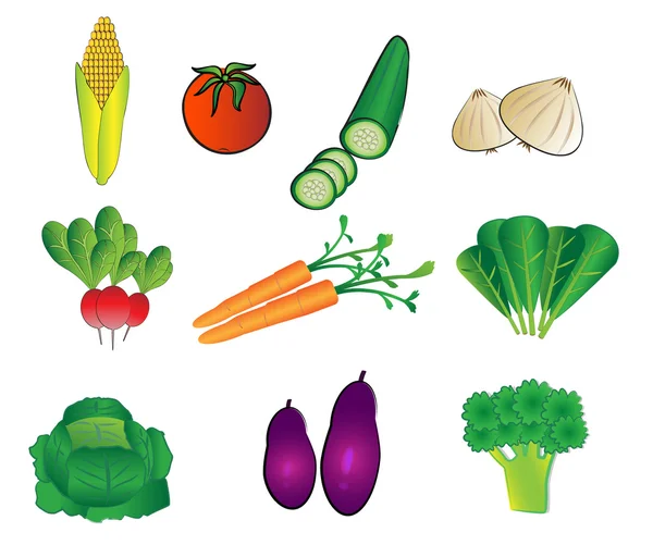 Овощные иллюстрации — стоковый вектор