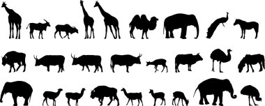 Various animals silhouettes clipart