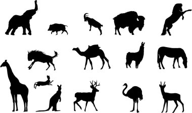 Wild animals silhouettes clipart