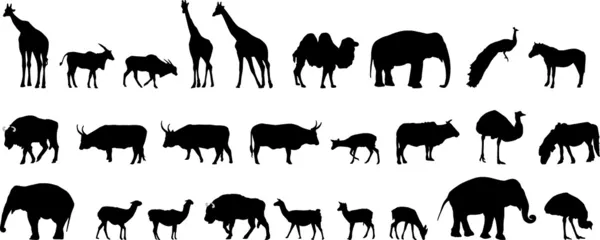 Various animals silhouettes — Stock Vector
