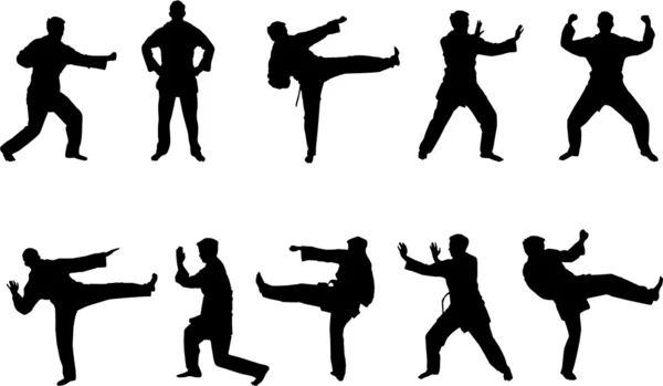 Martial arts silhouettes — Stock Vector
