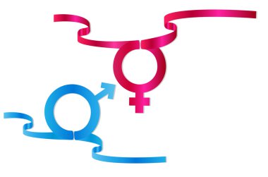 Gender symbols vector illustration clipart