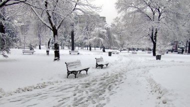 Kış karla kaplı park