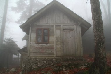 Sisin içinde ormanda cottage