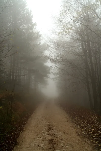 Droga wiejska we mgle — Zdjęcie stockowe