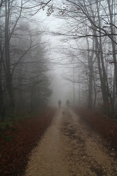 Dois homens a caminhar pela estrada do campo em nevoeiro — Fotografia de Stock
