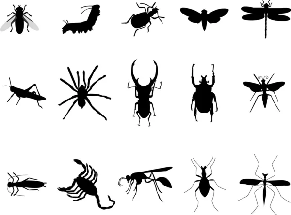 Vários insetos silhuetas — Vetor de Stock