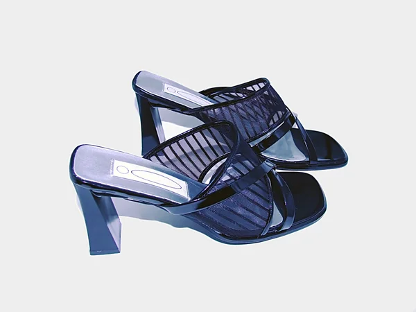 Сепия женская обувь — стоковое фото