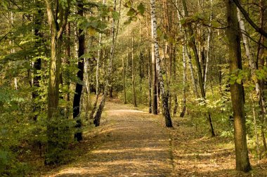 sonbahar park, sokak