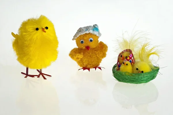 Pollos de Pascua — Foto de Stock