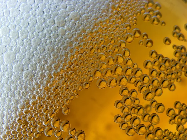 stock image Beer Foam