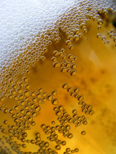 stock image Beer Foam