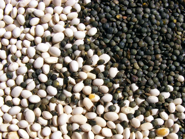 Lentils And Beans — Stock Photo, Image