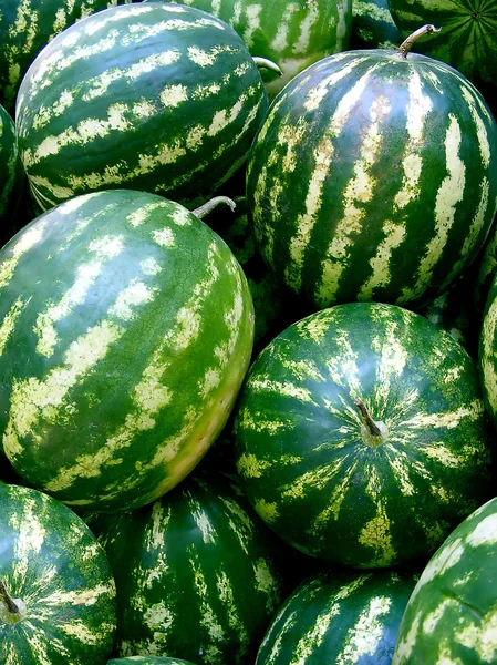 stock image Watermelons