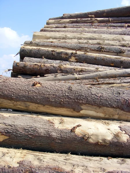 Holzwerkstoff — Stockfoto