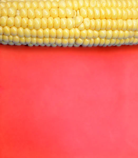Kukurydza na czerwonym tle — Zdjęcie stockowe