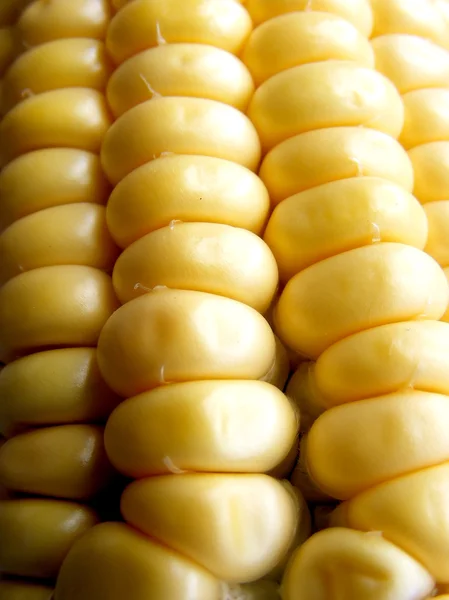 Backgropund kukurydzy — Zdjęcie stockowe