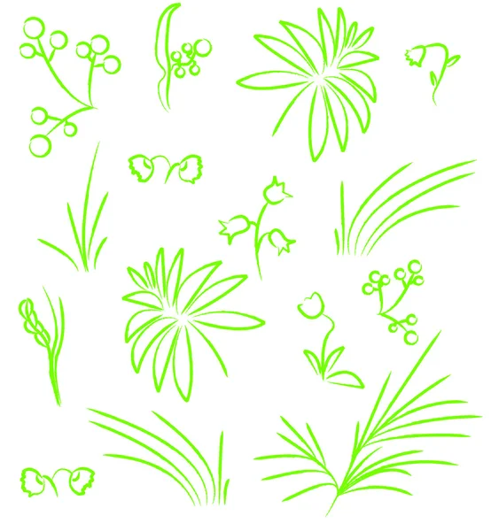 Vector Fower And Leaves Icons — Stock Vector