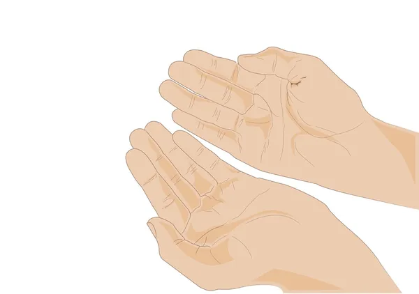 Deux mains ouvertes - gros plan - vecteur — Image vectorielle
