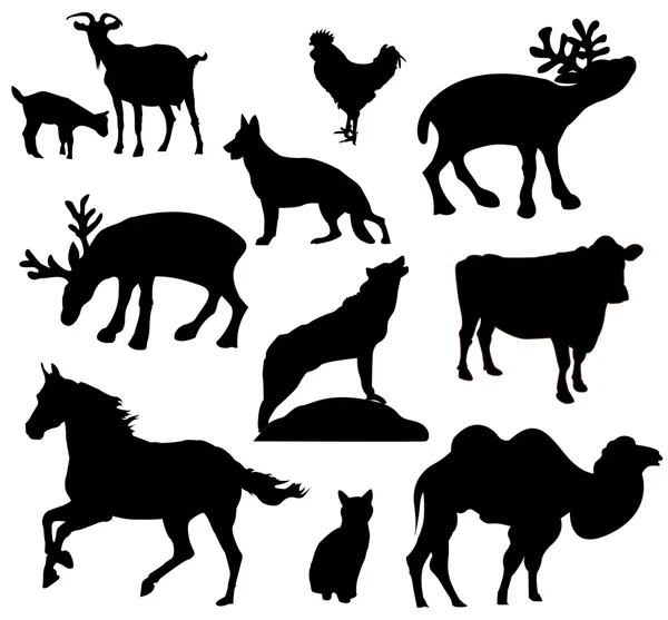 Set misto di animali vettorializzati — Vettoriale Stock