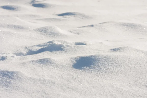 Detalii despre zăpadă — Fotografie, imagine de stoc