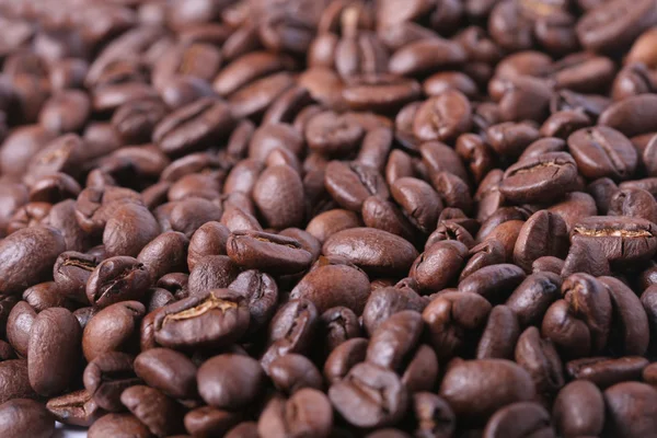 Coffee beans — Stock Photo, Image