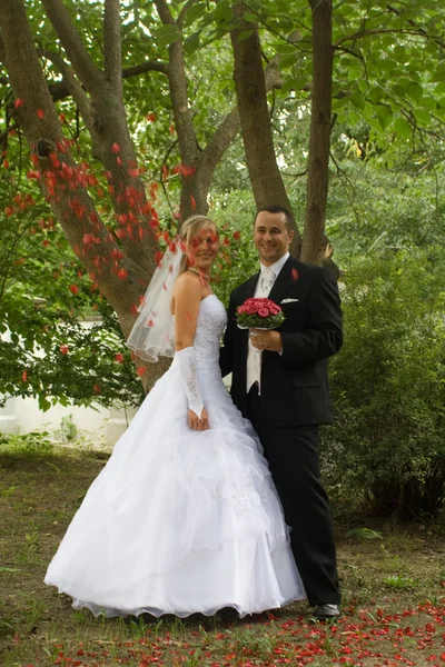 Esküvői pár — Stock Fotó