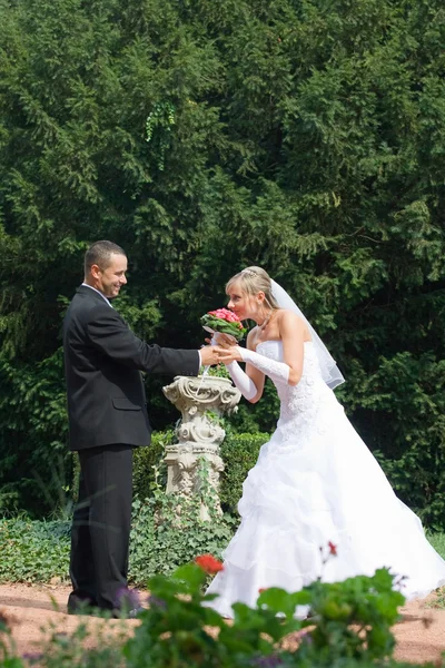 Молодий весілля пара — стокове фото