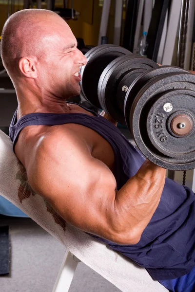 Bodybuilder training Stock Image
