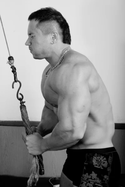 Ausbildung zum Bodybuilder — Stockfoto