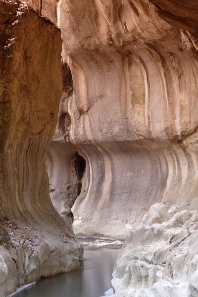 stock image Canyon with river