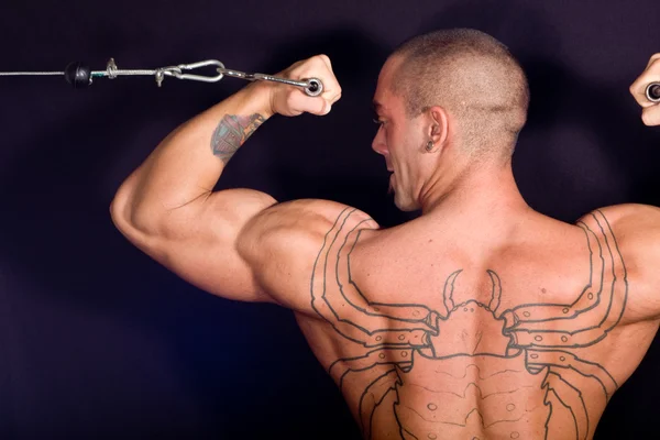 Bodybuilder training in the gym — Stock Photo, Image