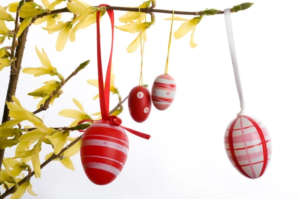 Easter eggs hanging Royalty Free Stock Images