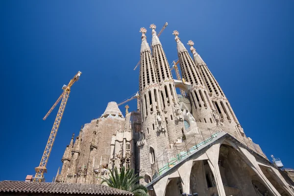 Sagrada Familia i Barcelona — Stockfoto