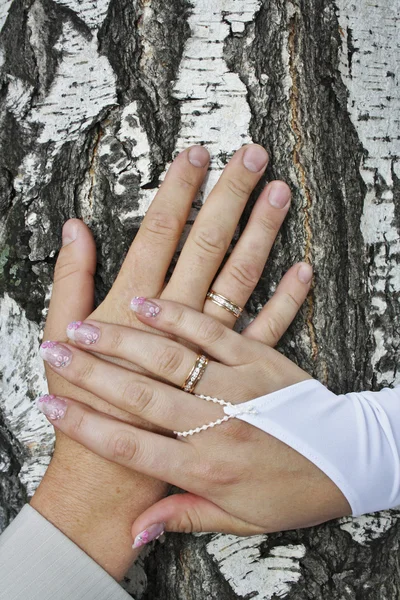 Les mains du couple nouvellement marié — Photo