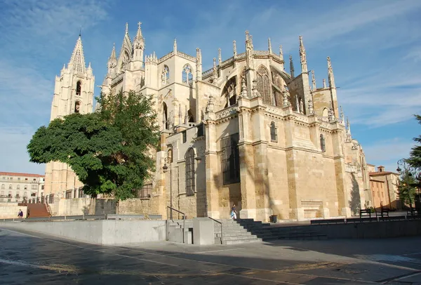 Katedralen i leon — Stockfoto