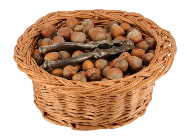 전체 hazelnuts의 바구니 — 스톡 사진