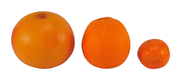 Tre frukter — Stockfoto